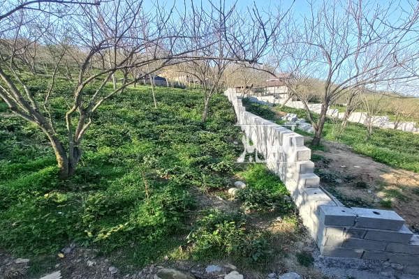 فروش زمین به مساحت۲۷۰ متر در روستای بالابند-4