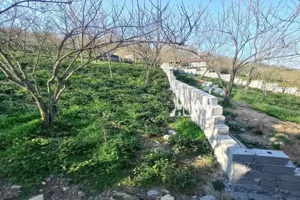 فروش زمین به مساحت۲۷۰ متر در روستای بالابند - تصویر 4
