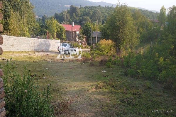 فروش زمین مسکونی روستایی جنگلی سادات محله ۲۵۰ متر-1