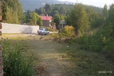 فروش زمین مسکونی روستایی جنگلی سادات محله ۲۵۰ متر