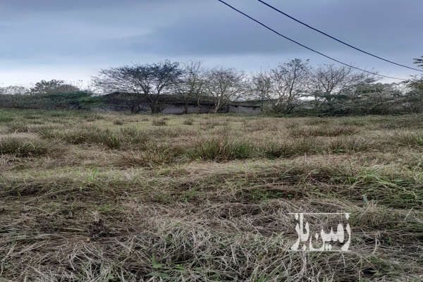 زمین به مساحت ۷۰۰ متر در روستای فلکده-1