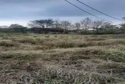 زمین به مساحت ۷۰۰ متر در روستای فلکده