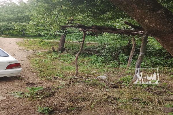 فروش زمین مسکونی ۴۰۰متری نکا بخش هزارجریب روستای سفرمیان-1