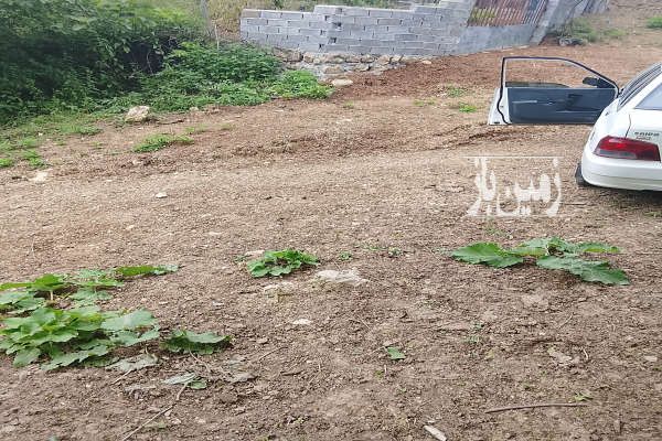 فروش زمین مسکونی ۴۰۰متری نکا بخش هزارجریب روستای سفرمیان-2