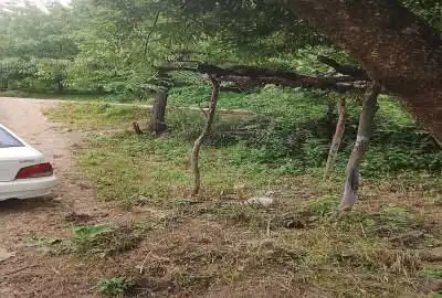 فروش زمین مسکونی ۴۰۰متری نکا بخش هزارجریب روستای سفرمیان
