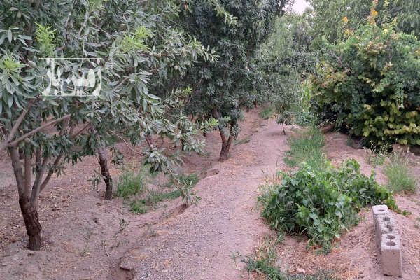 فروش باغ کشاورزی کوچک در روبروی دانشکده کشاورزی ۹۰۰ متر-1