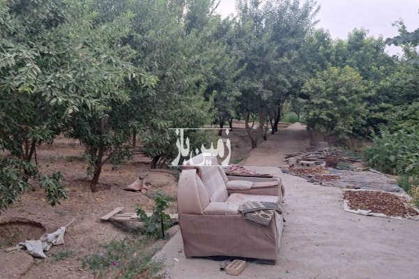 فروش باغ کشاورزی کوچک در روبروی دانشکده کشاورزی ۹۰۰ متر-4