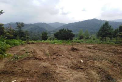 فروش زمین باغی کوهستانی در روستای زمیدان ۱۲۰۰ متر