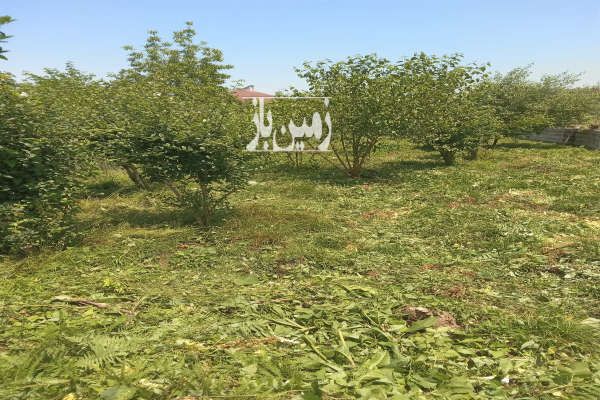 فروش زمین مسکونی ۳۰۰ متر پره سر محله کوهستان بالا-1