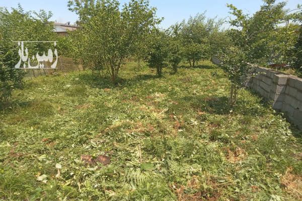 فروش زمین مسکونی ۳۰۰ متر پره سر محله کوهستان بالا-2