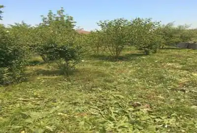 فروش زمین مسکونی ۳۰۰ متر پره سر محله کوهستان بالا