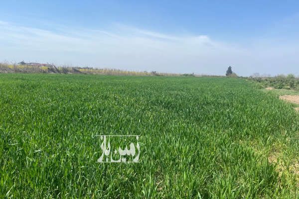 زمین و باغ کشاورزی جاده گهرباران قبل روستای دلمرز ۷۵۰۰ متر-1