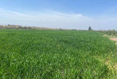 زمین و باغ کشاورزی جاده گهرباران قبل روستای دلمرز ۷۵۰۰ متر