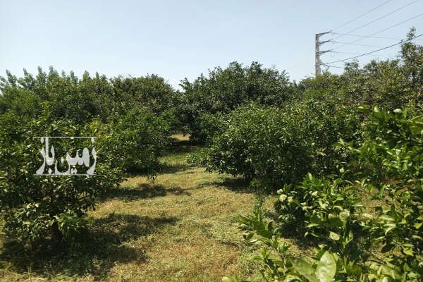 زمین در ساری جاده دریا روستای مرزرود ۱۰۳۶ متر-1
