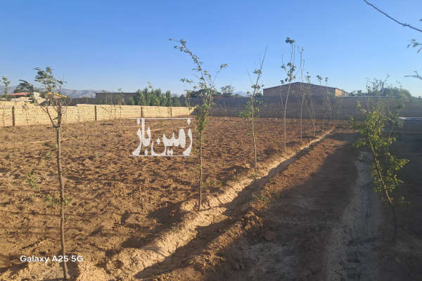 زمین باغی همراه با استخر۱۱۰۰ متر-1