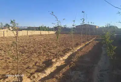 زمین باغی همراه با استخر۱۱۰۰ متر