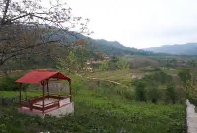 زمین کوهپایه ای با طبیعت بکر جاده قلعه رودخان ۲۴۰۰ متر