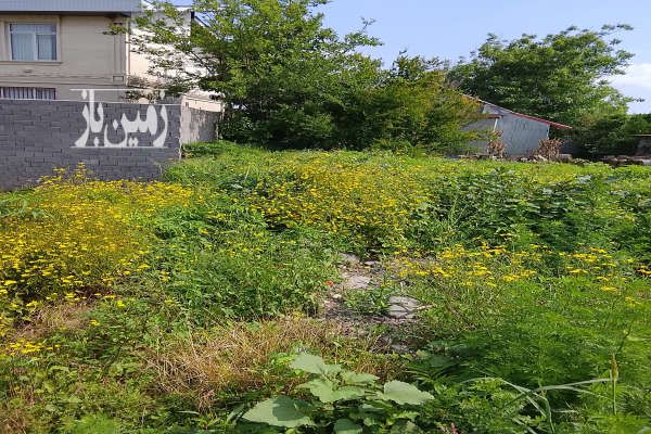 زمین با کاربری مسکونی لنگرود روستای سیاهکلده ۳۰۵ متر-3