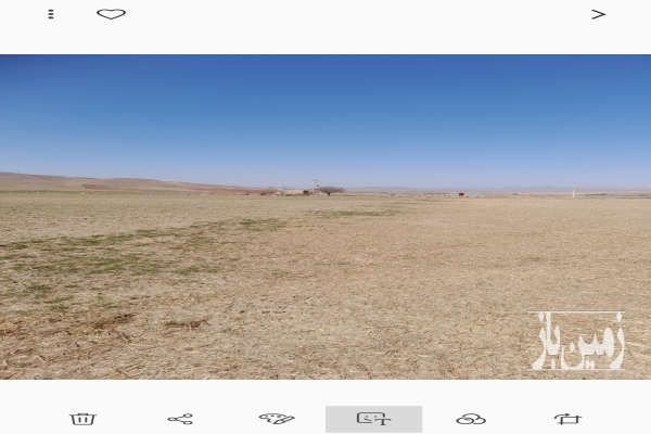 زمین کشاورزی باچاه کنگاورروستای دهبالا و ولاشجرد ۱۷۰۰۰۰ متر-4