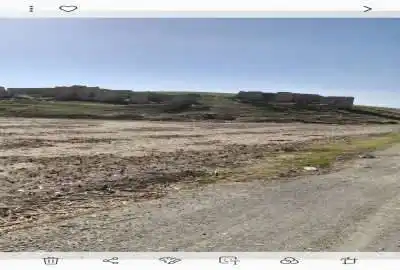 زمین کشاورزی باچاه کنگاورروستای دهبالا و ولاشجرد ۱۷۰۰۰۰ متر