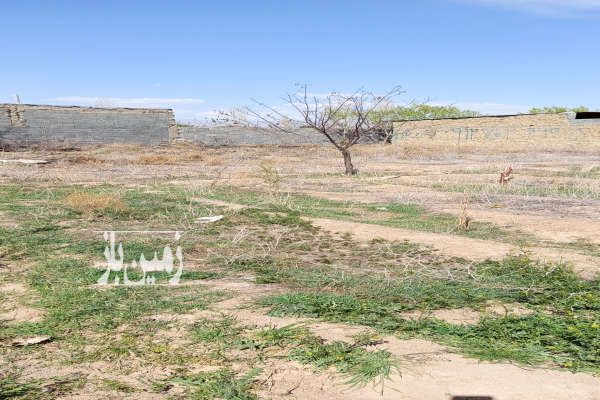 زمین تهران پاکدشت شریف آباد روستای قرمز تپه ۲۸۰ متر-2