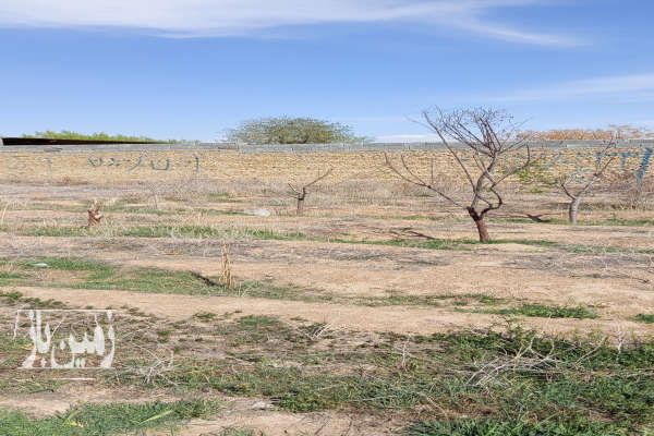 زمین تهران پاکدشت شریف آباد روستای قرمز تپه ۲۸۰ متر-3