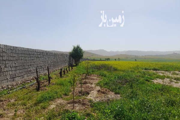 زمین کشاورزی وصنعتی ۲هکتار قلعه تل-4