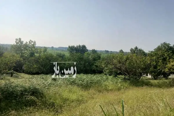 زمین باغ مرکبات نزدیک بافت با ویو بی نظیر ۲۲۰۰ متر - تصویر 3