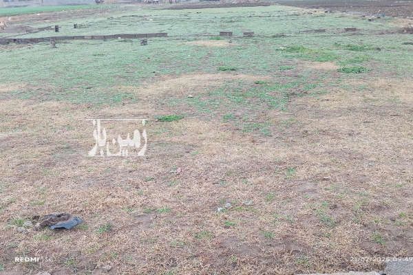 زمین از دو طرف راه دارد نکا روستای نیچاه ۲۷۰ متر - تصویر 2