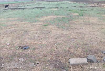 زمین از دو طرف راه دارد نکا روستای نیچاه ۲۷۰ متر
