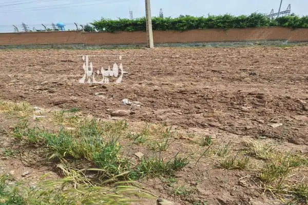 زمین با کاربری کشاورزی ۵۰۰ متر کوهسار شادی - تصویر 3