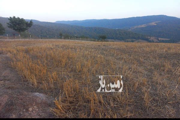 فروش زمین ۵۰۰ متر ساری روستای اجارستاق میدانک - تصویر 1