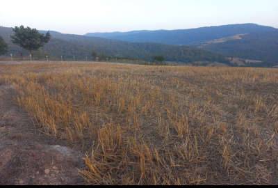 فروش زمین ۵۰۰ متر ساری روستای اجارستاق میدانک