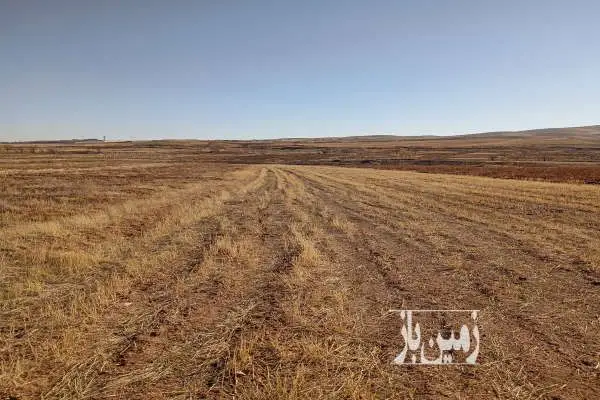 زمین زراعی ۴۰۰۰ متر حوالی خرمدره - تصویر 2
