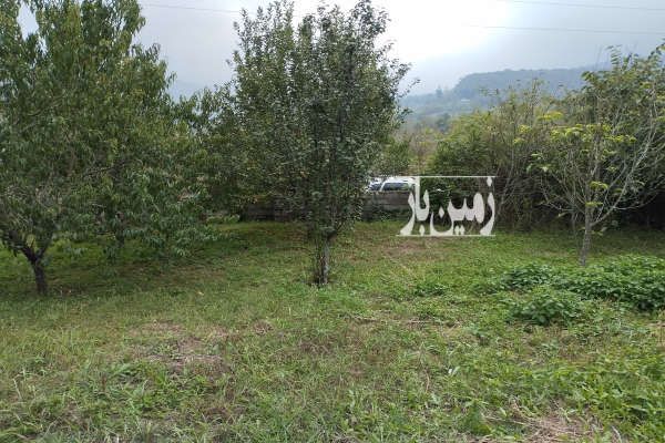 زمین باغی ۱۳۱۷ متر مربع در ساری روستای امره - تصویر 2