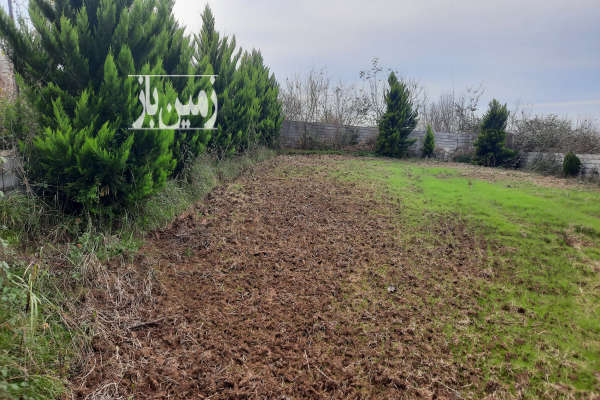 زمین ۴۵۰ متر خیابان ساری شهرک یثرب ابتدای روستای لهرم - تصویر 2