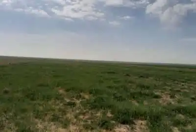 یک هکتار زمین کشاورزی در روستای احمد اباد اولان