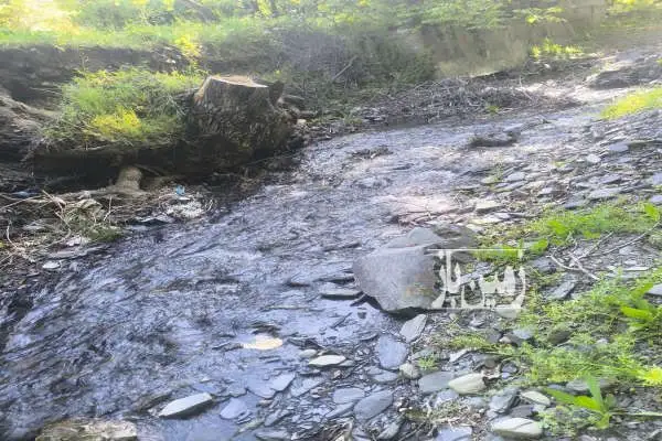 باغ سرسبز با درختهای میوه ۲۸۰ متر مشهد کوه خلج روستای تجر - تصویر 3