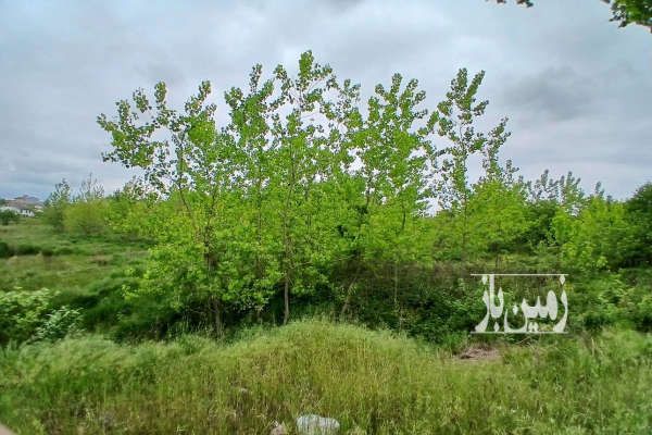فروش زمین بر اصلی کمربندی رودسر با بر ۵۲ متر-1