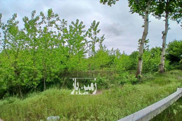 فروش زمین بر اصلی کمربندی رودسر با بر ۵۲ متر-3