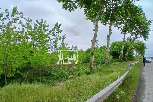فروش زمین بر اصلی کمربندی رودسر با بر ۵۲ متر-4