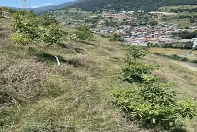 فروش زمين ۳۰۰ متر در پل سفيد روستای میارکلا