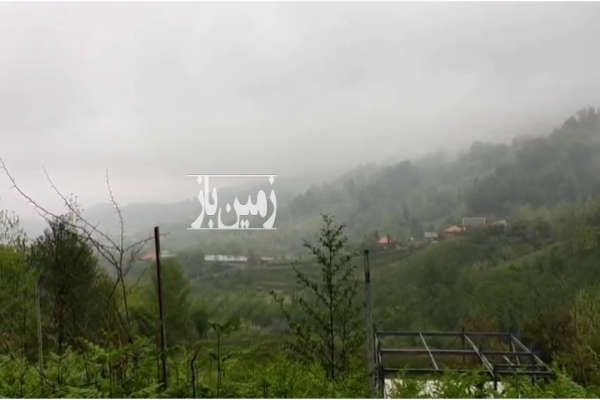 فروش فوری زمین مسکونی باغی ۴۰۰۰ متر گیلان شفت - تصویر 2
