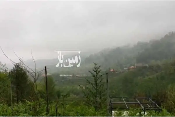فروش فوری زمین مسکونی باغی ۴۰۰۰ متر گیلان شفت - تصویر 2