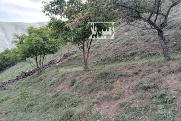 فروش زمین ۶۳۹ متر در روستای دلیر مرزن آباد-2