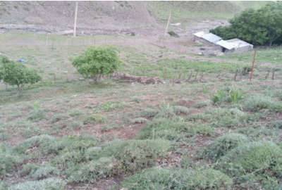 فروش زمین ۶۳۹ متر در روستای دلیر مرزن آباد