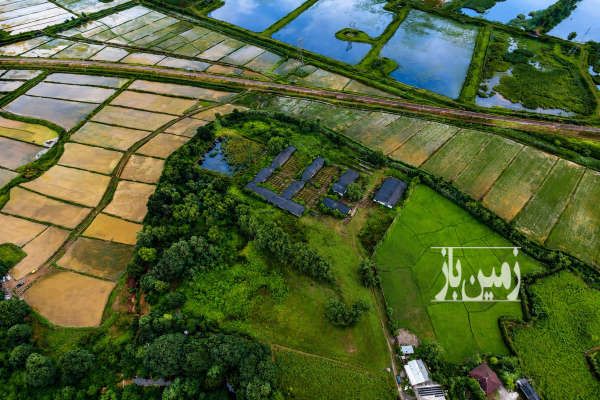 فروش ۴ هکتار در فشتام رشت - تصویر 2
