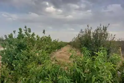 باغ ۳۵۹۰ متر دنج شهریار بین فرارت و یوسف آباد