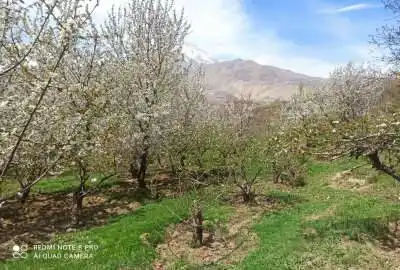 باغ ۲۷۰۰۰ متر روبروی قله دماوند بام ایران با منظر ابدی