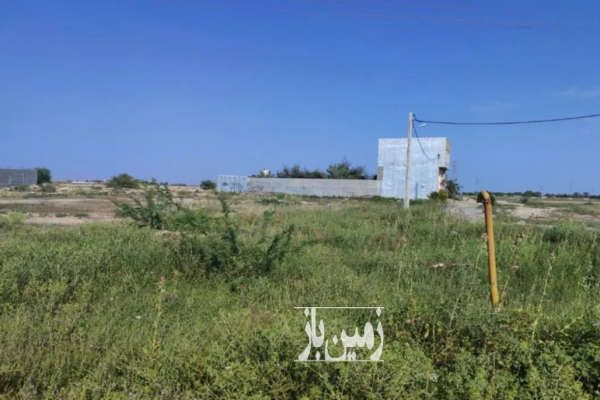 زمین ۵۰۰ متر واقع در بندر گناوه-1